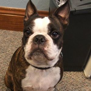 Meet your Posher, Alan